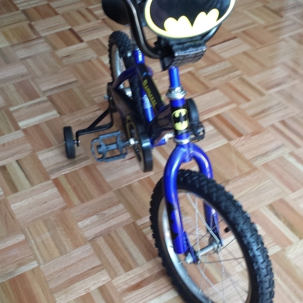 Batman Purple and Black Kids Bicycle with Bat Emblems